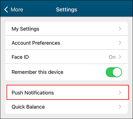 Settings select Push Notifications