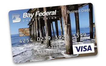 Visa Credit Card