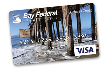 Visa Credit Card