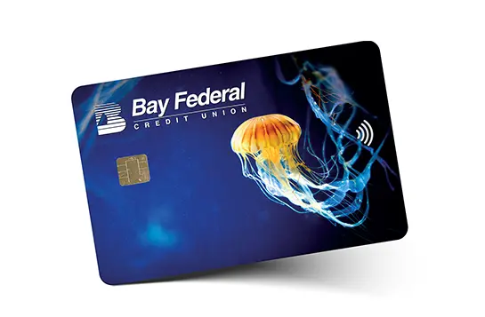 Visa card jellyfish design